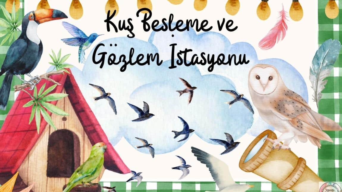 Kuş Besleme ve Gözlem İstasyonu